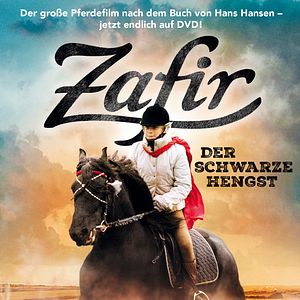 Bilder Zafir - Der schwarze Hengst