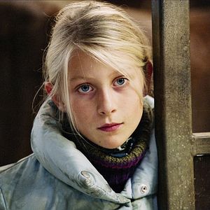 Bilder Zafir - Der schwarze Hengst