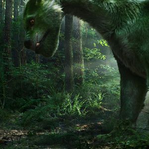 Bilder Elliot, der Drache