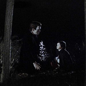 Bilder Der Geist des Bienenstockes