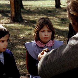 Bilder Der Geist des Bienenstockes