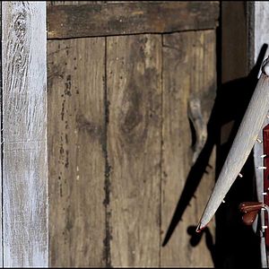 Bilder Promenons-nous avec les petits loups