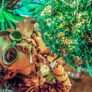 Bilder AmStarDam - Eine hanftastische Reise