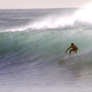 Bilder The Endless Summer