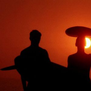 Bilder The Endless Summer