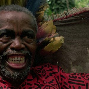 Bilder Die Schlange im Regenbogen