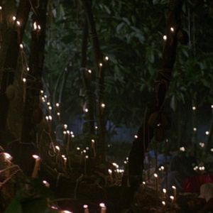 Bilder Die Schlange im Regenbogen