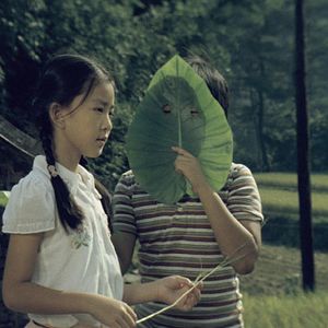 Bilder The Green, Green Grass of Home