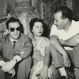 Bilder Sonne in den Augen