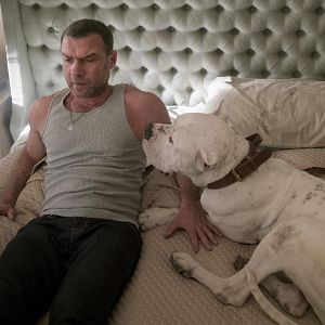 Bilder Ray Donovan