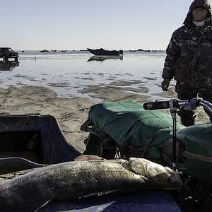 Bilder I sogni del lago salato
