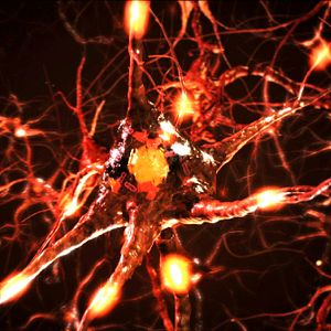 Bilder Notre créativité oubliée