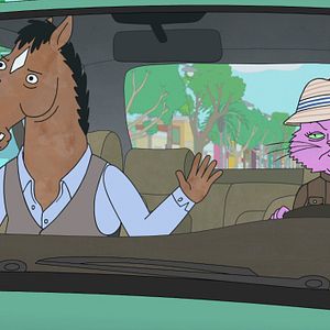 Bilder BoJack Horseman