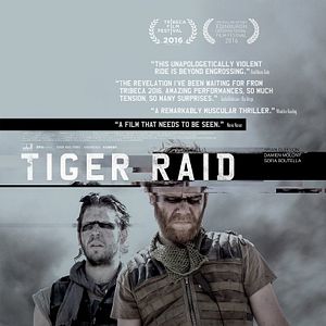 Bilder Tiger Raid
