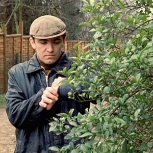 Bilder The Black Panther