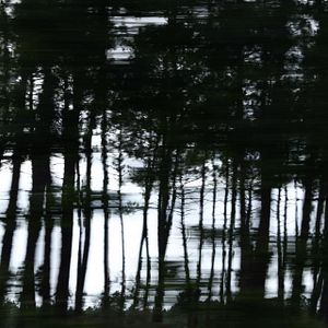 Bilder Amoureux solitaires