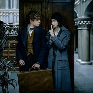 Bilder Katherine Waterston