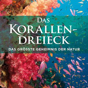 Bilder Das Korallendreieck