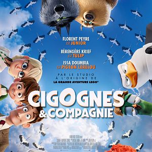 Bilder Störche - Abenteuer im Anflug