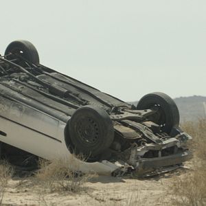 Bilder Gregg Turkington