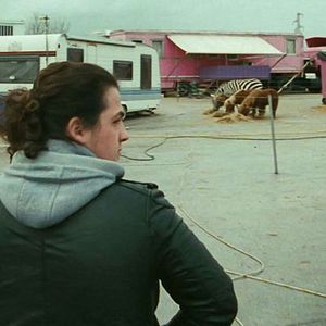 Bilder Mister Universo