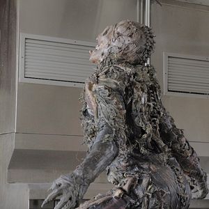 Bilder American Conjuring