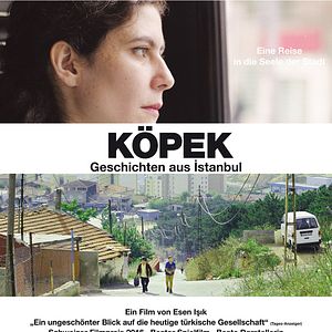 Bilder Köpek - Geschichten aus Istanbul