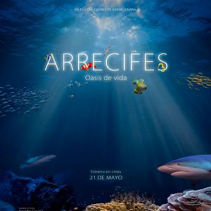 Bilder Arrecifes. Oasis de vida