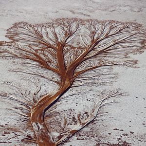 Bilder Human - Die Menschheit