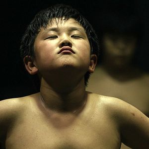 Bilder Graine de Champion