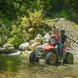 Bilder Ferien in der Wildnis