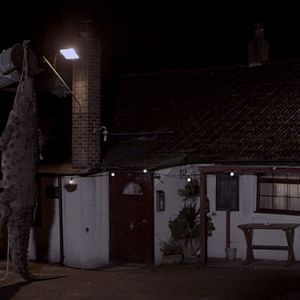 Bilder The Hatching - Die Natur beißt zurück