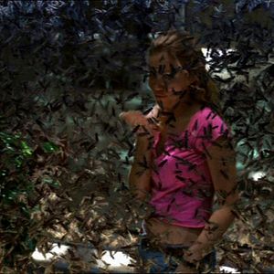 Bilder Todesschwarm - Heuschrecken greifen an