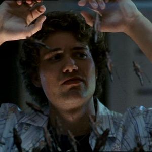 Bilder Todesschwarm - Heuschrecken greifen an