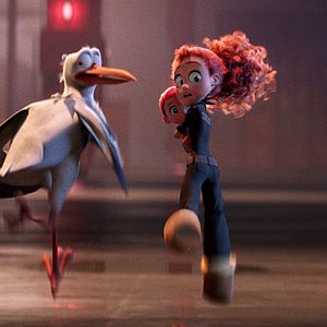 Bilder Störche - Abenteuer im Anflug