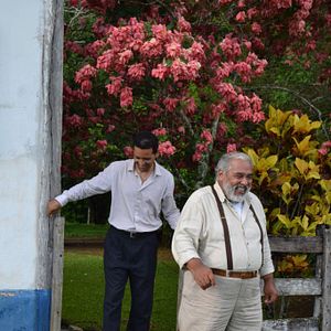Bilder Cartas de Amor são Ridículas