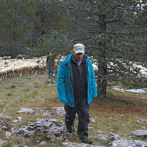 Bilder Staying Vertical