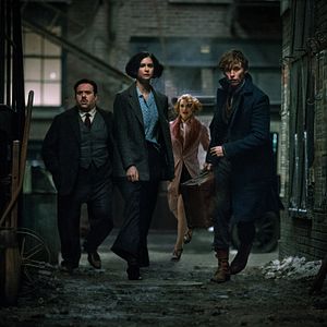 Bilder Katherine Waterston