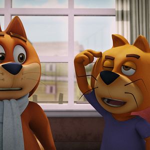 Bilder Top Cat Begins