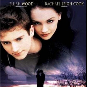 Bilder The Bumblebee Flies Anyway