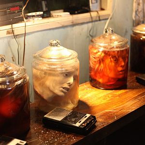 Bilder Skin Collector