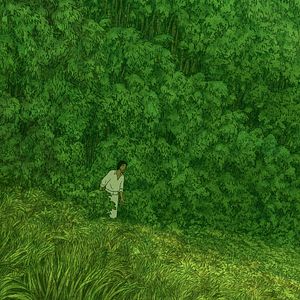 Bilder Die rote Schildkröte