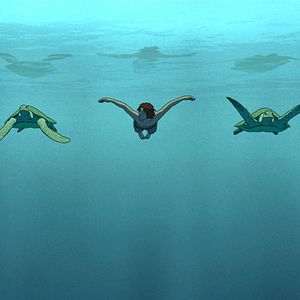 Bilder Die rote Schildkröte