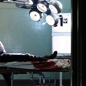 Bilder Mather Zickel