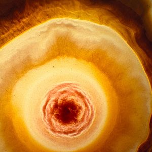 Bilder Voyage of Time: Life's Journey