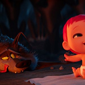 Bilder Störche - Abenteuer im Anflug