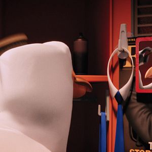 Bilder Störche - Abenteuer im Anflug