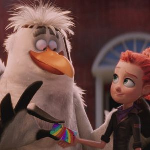 Bilder Störche - Abenteuer im Anflug