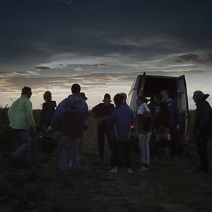 Bilder Von Trauben und Menschen