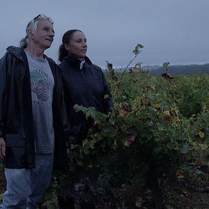 Bilder Von Trauben und Menschen